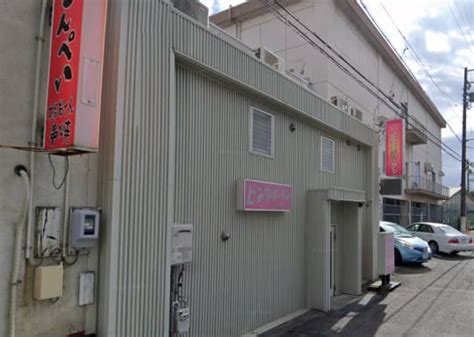 豊橋 ソープ|本番/NN/NSも？豊橋にソープはなし！激エロ風俗2店を全66店舗。